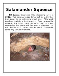 Salamander Squeeze - Texas Cave Conservancy