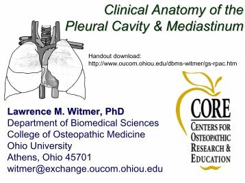 Clinical Anatomy of the Pleural Cavity & Mediastinum