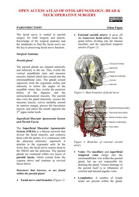 open access atlas of otolaryngology, head & neck - Vula - University ...
