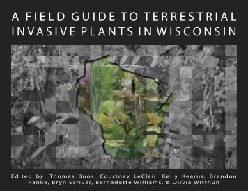 Invasive Plant Guide - City of Antigo,Wisconsin