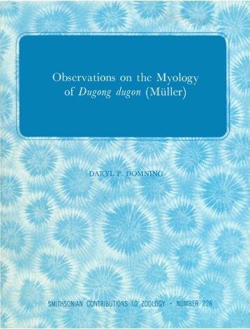 Observations on the Myology of Dugong dugon - Smithsonian ...