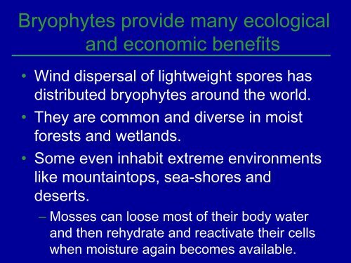 Bryophytes