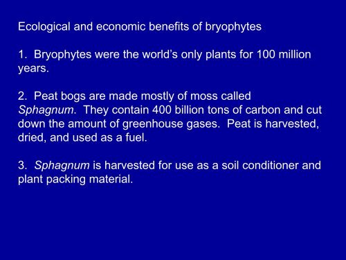 Bryophytes