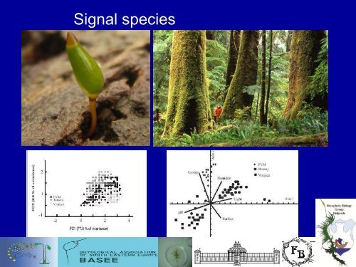 Bryophytes