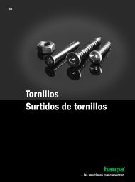 Tornillos Surtidos de tornillos - Haupa