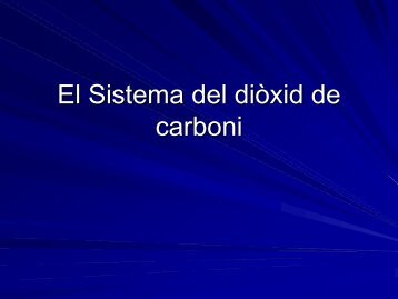 Sistema del Dixid de Carboni - CEAB