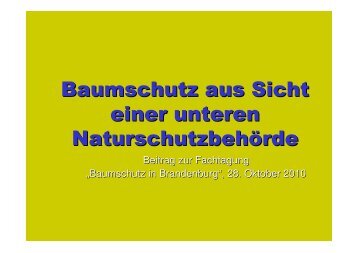 Baumschutz aus Sicht einer unteren ... - Haus der Natur