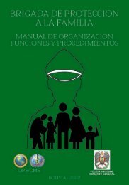 Manual de Organización Correg. - Organización Panamericana de ...