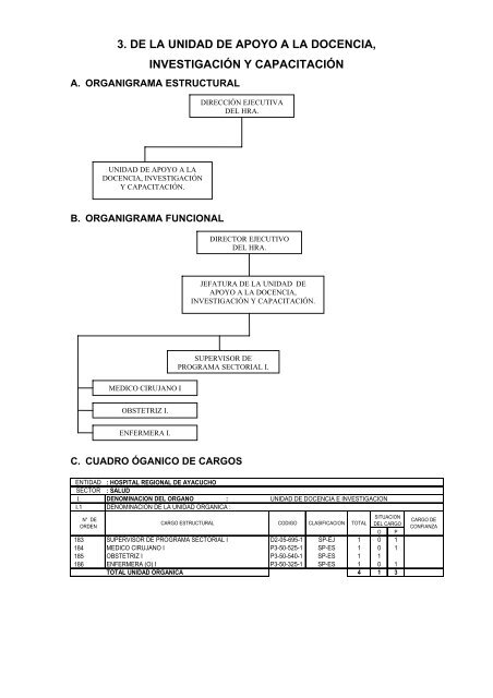 formato descripción de cargos - Hospital Regional de Ayacucho