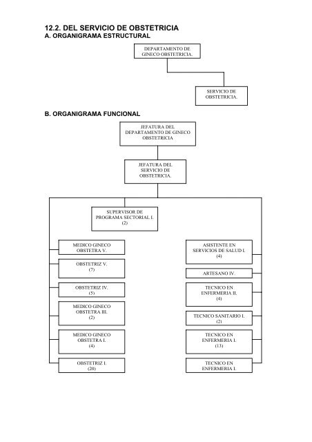 formato descripción de cargos - Hospital Regional de Ayacucho