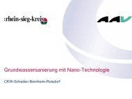 In-Situ Nano-Eisen Sanierung - AAV NRW