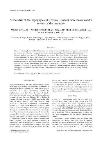 Being a seafarer essay image