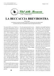 LA BECCACCIA BREVIROSTRA di Silvio Spanò N° 69 – Febbraio ...