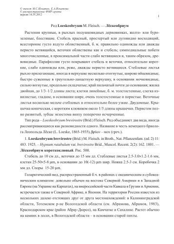 текст--text in Russian - Arctoa