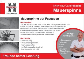 Mauerspinne auf Fassaden - Haussmann