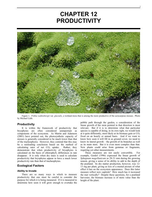 CHAPTER 12 PRODUCTIVITY - Bryophyte Ecology - Michigan ...