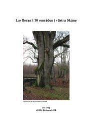 Lavfloran i 10 områden i västra Skåne - Serverdrift.com