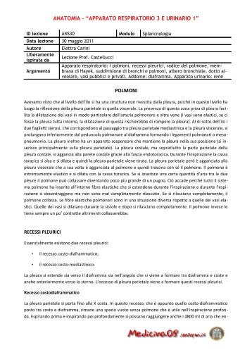 anatomia – “apparato respiratorio 3 e urinario 1” polmoni - Medicina08