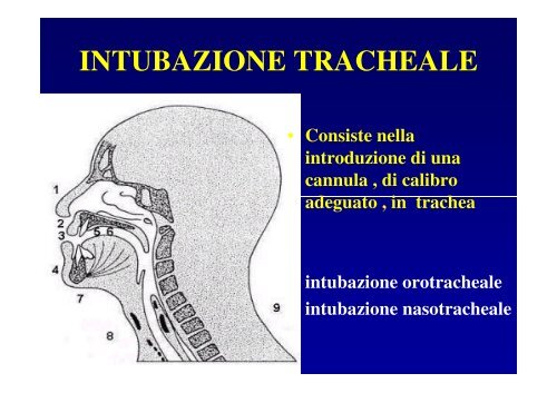 ANESTESIA GENERALE - Infermieristica Rimini