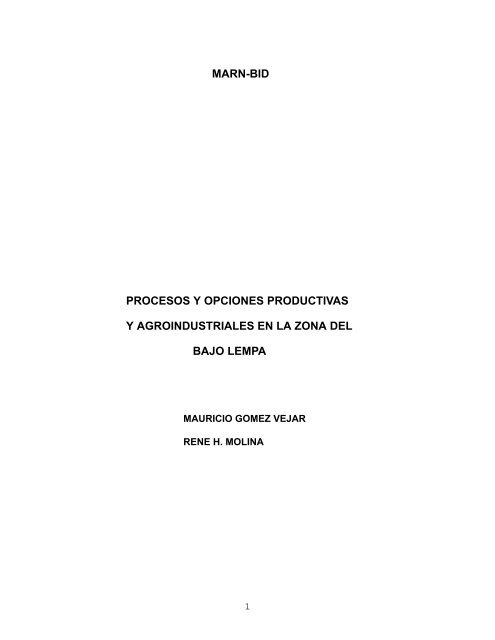 Informe final de consultoría: Procesos y opciones ... - La RED