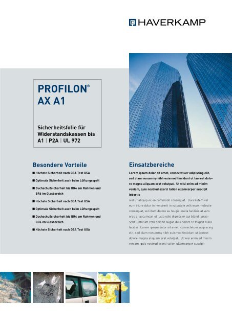 PROFILON AX A1 - HAVERKAMP GmbH