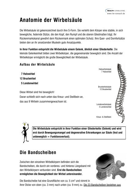 Anatomie Der Wirbelsaule