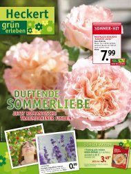 sommer-hit - Heckert Gartencenter