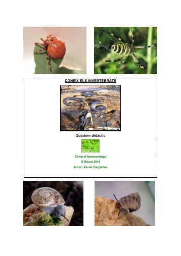 Coneix els invertebrats - Camp d'Aprenentatge de les Illes Balears