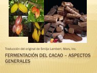 19_Fermentacion_del_Cacao