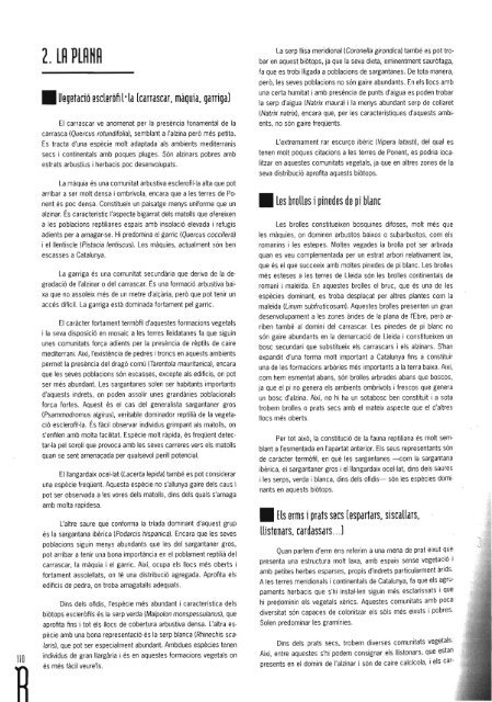 2006%20Carretero%20et%20al.%20reptils%20Lleida.pdf