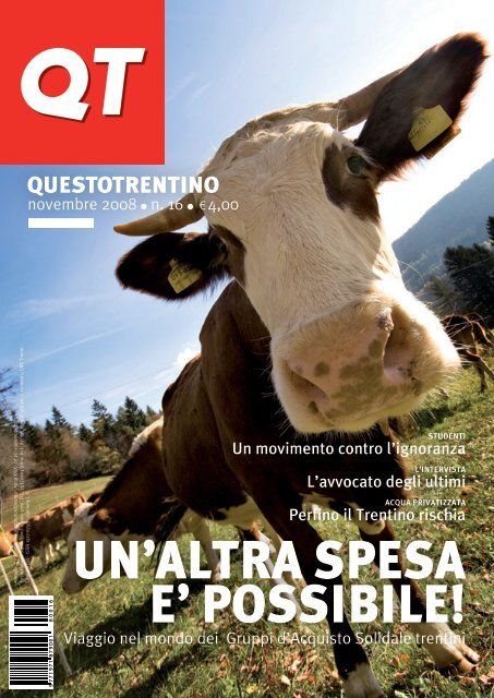 Leggi il numero di novembre (formato Pdf, 7 - Questotrentino