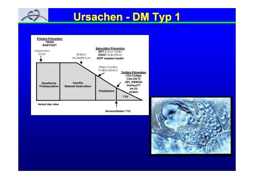 geht es zur PDF-Datei - Herz- und Kreislaufzentrum Rotenburg