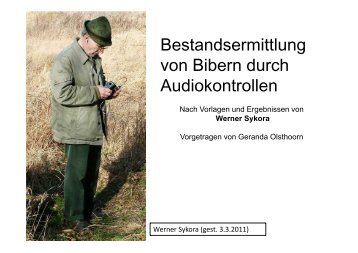 Bestandsermittlung von Bibern durch Audiokontrollen am ... - HGON