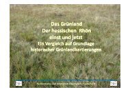 Das Grünland Der hessischen Rhön einst und jetzt - HGON
