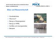 Biber und Wasserwirtschaft (Christoph Poch, Untere ... - HGON