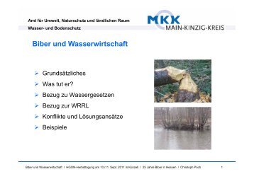 Biber und Wasserwirtschaft (Christoph Poch, Untere ... - HGON