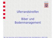 Uferrandstreifen â Biber und Bodenmanagement (Erwin ... - HGON