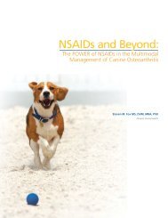 NSAIDs and Beyond: - HillsVet