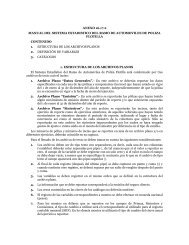 Manual del SESA de Autos Flotilla - Amis