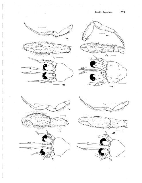 Download PDF as one large file - AToL Decapoda