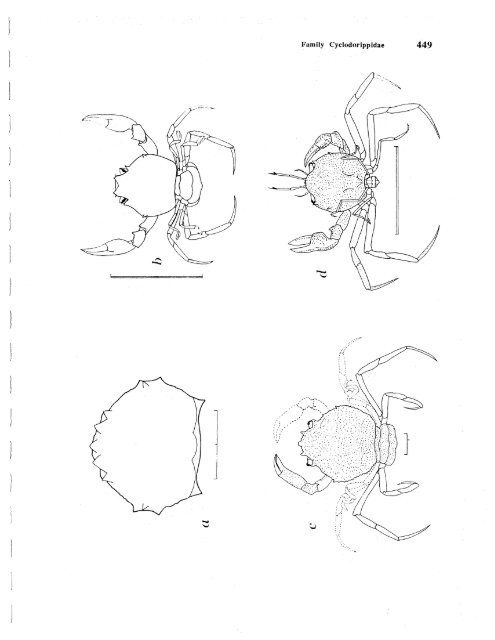 Download PDF as one large file - AToL Decapoda