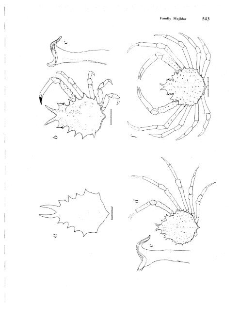 Download PDF as one large file - AToL Decapoda