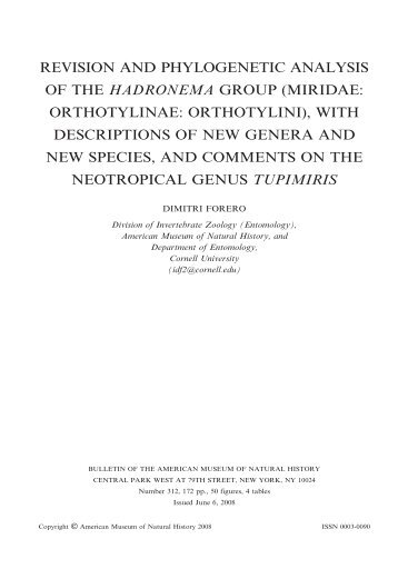 revision and phylogenetic analysis of the hadronema group (miridae ...