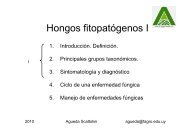 Hongos fitopatógenos 2010 I