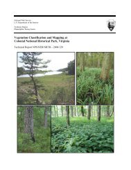 Vegetation Classification and Mapping Project Report - USGS