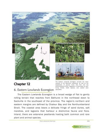 Chapter 12: Eastern Lowlands - Government of New Brunswick