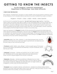 getting to know the insects - Department of Entomology - Iowa State ...