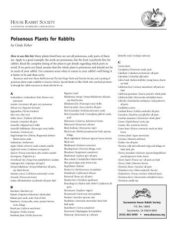 Poisonous Plants for Rabbits - The Sacramento House Rabbit Society