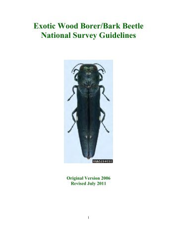 Exotic Wood Borer/Bark Beetle National Survey Guidelines