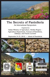 The Secrets of Pantelleria - Oldways